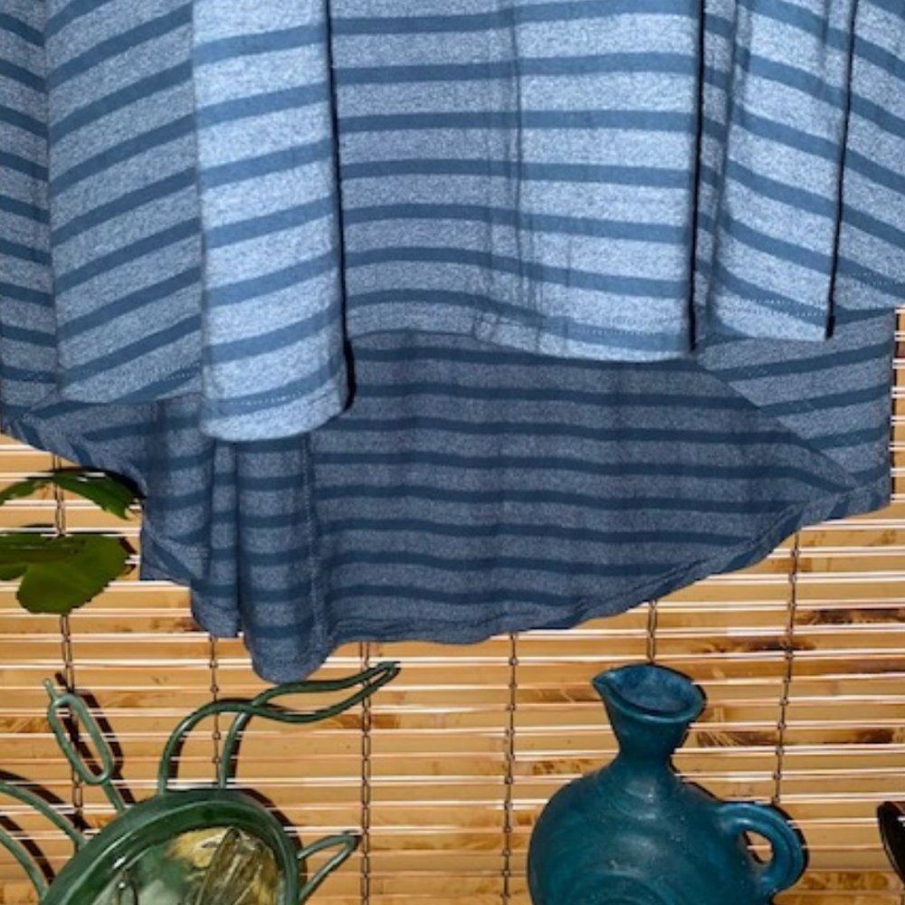 LuLaroe Heathered Blue-Gray & Blue Striped Carly Swing Dress - Picture 11 of 15